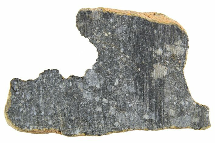 Polished Lunar Meteorite ( g) End Cut Slice - NWA #333183